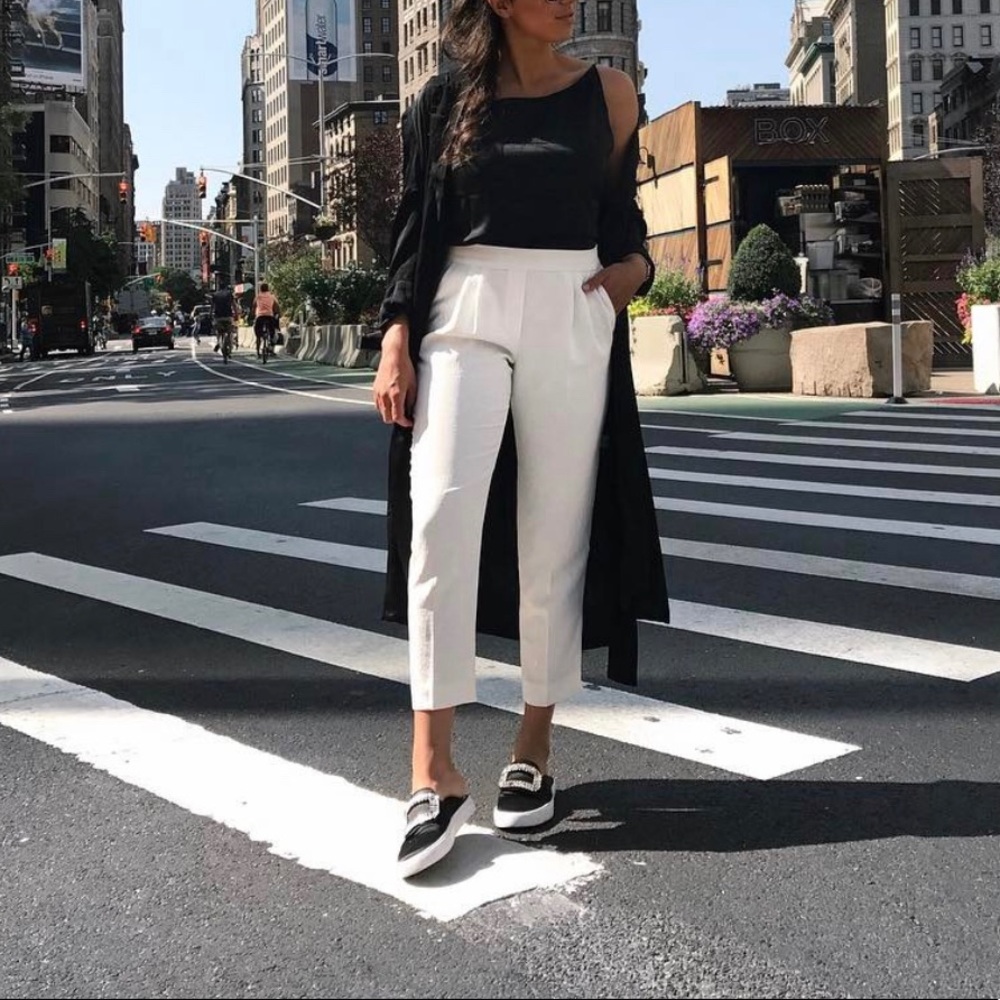 Aritzia Pleated Pants